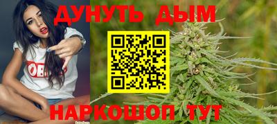 гидра Краснокаменск
