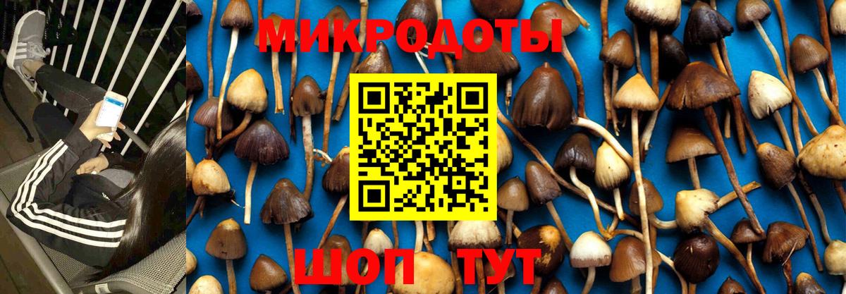 Галлюциногенные грибы мухоморы Карталы